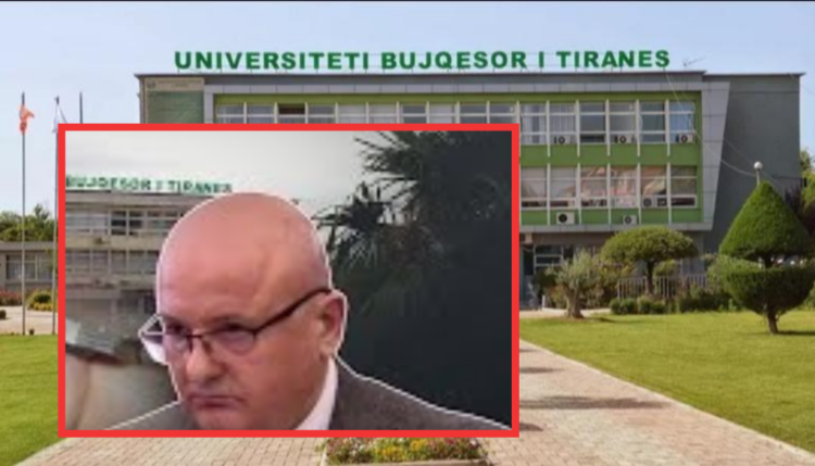 Përgjimet/ Ja si u favorizua “Krijon shpk” për tenderat në UBT, bisedat e Piro Zogës me rektorin dhe pedagogët