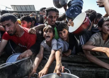 Uria kthehet në katastrofë, një në tre persona nuk ha për disa ditë rresht në Gaza