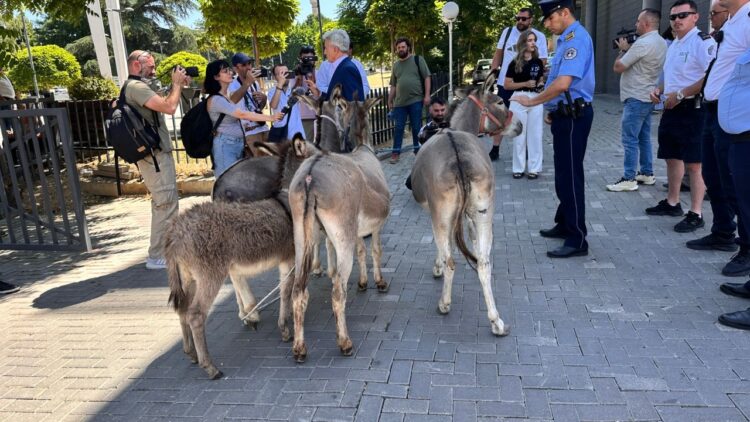 E pazakontë në Kosovë! Avokati sjell në Kuvend 4 gomerë: Simbolizojnë kryeneçësinë e politikanëve