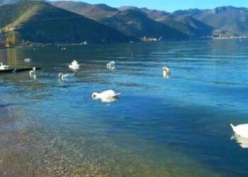 Shuplakë për qeverinë! Ndërtimet pa kriter, UNESCO shpall pasuri në rrezik liqenin e Ohrit