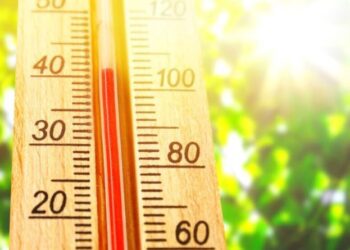 Parashikimi i motit për sot, 24 Korrik 2025