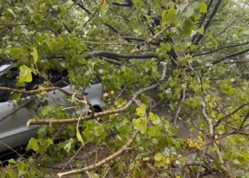 Shirat e para pas një periudhe të gjatë thatësire, stuhia dhe reshjet shkaktojnë dëme në Elbasan