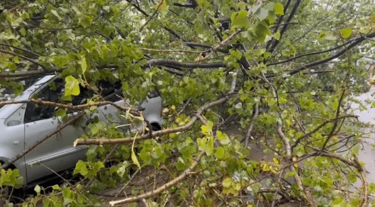 Shirat e para pas një periudhe të gjatë thatësire, stuhia dhe reshjet shkaktojnë dëme në Elbasan