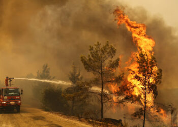 Tragjedi/ Humbin jetën 10 persona