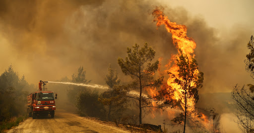 Tragjedi/ Humbin jetën 10 persona