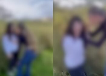 Çfarë brezi po rritet?! Vajzat në Fier bullizojnë adoleshenten: Na thuaj të hëngsha k**! (VIDEO)