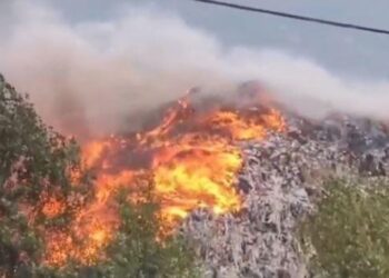 Vazhdon zjarri në Elbasan, Mbrojtja: Kemi shuar 10 vatra, 4 janë ende aktive