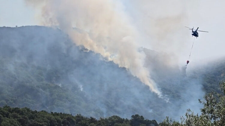 Zjarri tek pyjet e Liqeneve të Lurës vazhdon të jetë aktiv, Ministria: 8 vatra zjarri në vend gjatë 24 orëve!