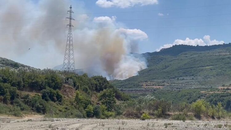 Vijon zjarri në malin e Dukatit, rrezikohet edhe parku kombëtar i Llogarasë