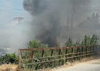 Zjarr masiv pranë shtyllave elektrike në Fier, ndërpritet energjia