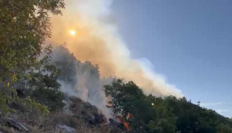 Përkeqësohet situata në parkun Kombëtar të Lurës, zjarri rrezikon stanet me bagëti