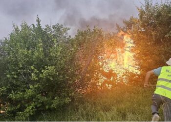 Zjarr i qëllimshëm në malin e Mavrovës, flakët depërtojnë brenda pyllit!