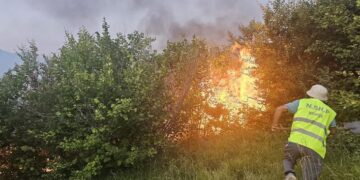 Zjarr i qëllimshëm në malin e Mavrovës, flakët depërtojnë brenda pyllit!