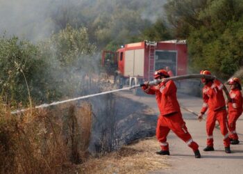 VIDEO/ Zjarri në Borsh del jashtë kontrollit, flakët kërcënojnë banesat dhe bizneset