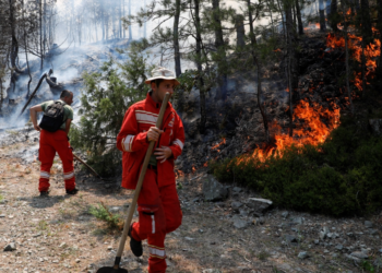 21 vatra zjarri në 24 orë/ 5 ende aktive, mbi 90 hektarë të djegura