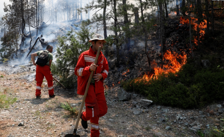 21 vatra zjarri në 24 orë/ 5 ende aktive, mbi 90 hektarë të djegura