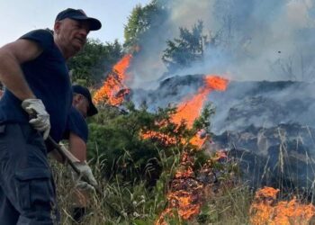 Zjarret po shkrumbojnë Shqipërinë, Rama flet si lider global: Kohë e vështirë për gjithë Mesdheun