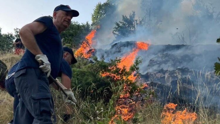 Zjarret po shkrumbojnë Shqipërinë, Rama flet si lider global: Kohë e vështirë për gjithë Mesdheun