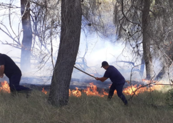 Zjarrfikësit i falenderohen motit! Reshjet shuajnë zjarret, mbetet vetëm një vatër në Skrapar