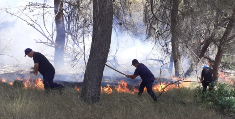 Zjarrfikësit i falenderohen motit! Reshjet shuajnë zjarret, mbetet vetëm një vatër në Skrapar