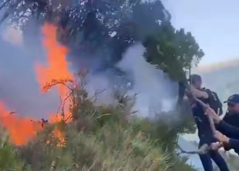 “Shtet leshi!”, shpërthen Murrizi: Harxhon 4 milionë për kopshtin në Kryeministri dhe ‘shuan’ zjarret me shtup e fshesë