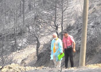 Kthehen në hi pyjet e Gramshit, banorët kthehen në shtëpitë e tyre