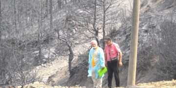 Kthehen në hi pyjet e Gramshit, banorët kthehen në shtëpitë e tyre