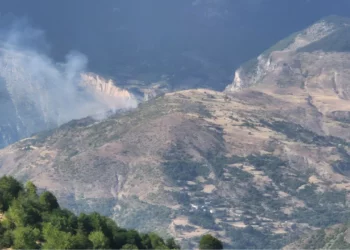 Zjarr në Parkun Natyror Korab-Koritnik-Kallabak, flakët po i afrohen banesave