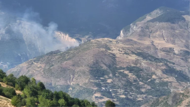 Zjarr në Parkun Natyror Korab-Koritnik-Kallabak, flakët po i afrohen banesave