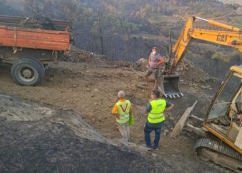 Dëmet nga zjarret, AKVMB: Rreth 130 krerë bagëti dhe mbi 600 zgjoje bletësh të djegura në jug të vendit