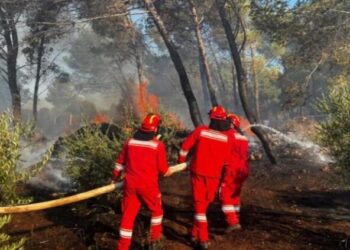 Tre vatra aktive në qarkun e Beratit, më problematikja në Poliçan