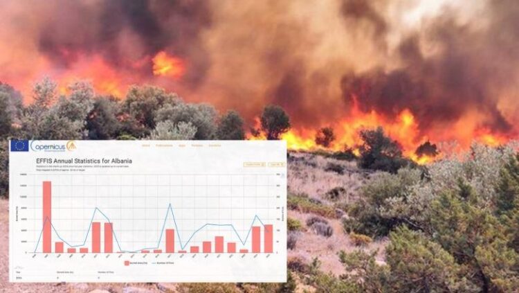 Del raporti i BE: Shqipëria, vendi i parë në Europë për sipërfaqen e djegur në raport me totalin