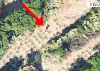 Zbulohen me dron 2 fermerë ilegalë të kanabisit mes Lukovës dhe Shën Vasilit (Emrat)