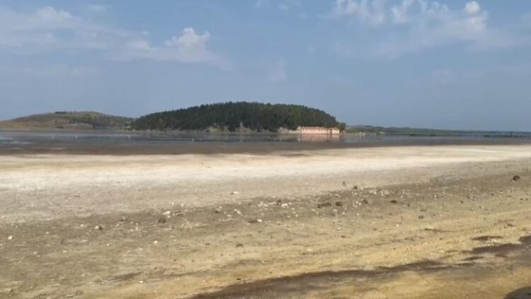 Thahet Laguna e Nartës në Zvërnec, ekspertët: Gjallesat po humbin habitatin