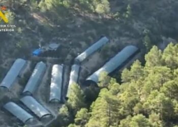 U kapën në serat me kanabis në malet e Spanjës, arrestohen 4 shqiptarët