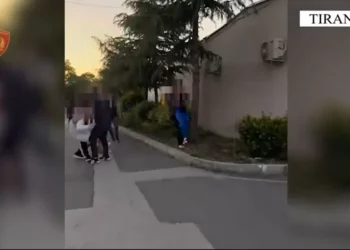 Morën në postë pakon me drogë të ardhur nga SHBA, arrestohen dy të mitur në Vorë
