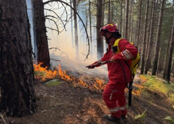 Situata e zjarreve, AKMC: Nga 8 vatra zjarri, 7 mbeten aktive