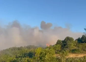 Situatë kritike nga zjarret në Fushë-Arrëz, flakët rrezikojnë banesa në fshatin Xath