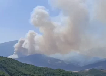 Situatë dramatike në Gramsh nga zjarret! Evakuohen fshatra, ekipet e emergjencës bllokohen nga flakët