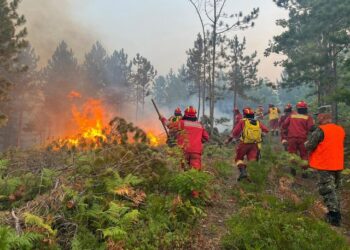 Ministria e Mbrojtjes: 23 zjarre në qarqe, kemi ngritur 4 helikopterë dhe 1 avion për shuarjen e tyre