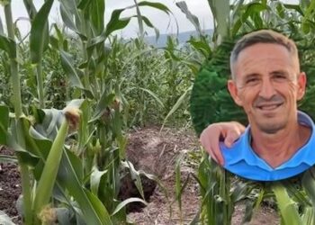 Vrasja dhe groposja e Enver Bajraktarit! Policia arreston autorin e dyshuar