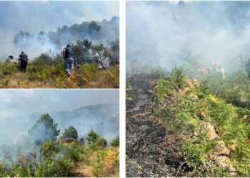 Situatë kritike pas zjarreve në Gramsh/ 42 banesa të djegura, mbi 200 krerë bagëti të humbura dhe dhjetëra banorë të evakuuar