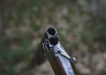 Vrau fqinjin, duke e ngatërruar me derrin në arën me misra/ Arrestohet 53-vjeçari në Berat (EMRAT)