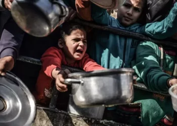 OKB shpalli zinë e bukës në Gaza dhe akuzoi Izraelin si shkaktar! Sulmon Tel Avivi: Raport i rremë
