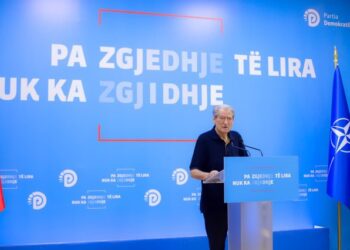 Berisha: Delvina dhe zona të tjera sot duhet të ishin shpallur zona të fatkeqësisë natyrore