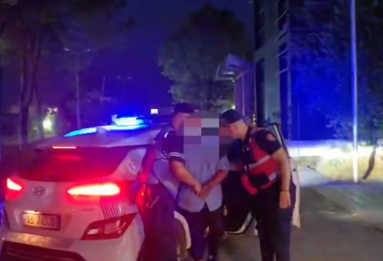 Dy persona në pranga për zjarrvënie, njëri pengoi edhe zjarrfikësit