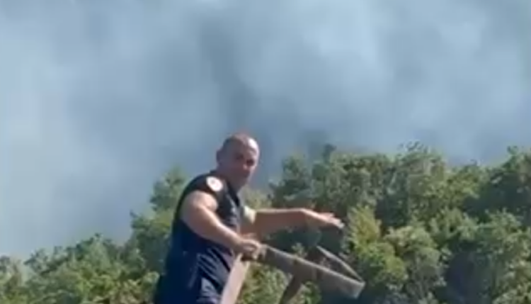 19-vjeçari në “arrest shtëpie” për drogë, prangoset pasi dogji ullinjtë e fqinjëve