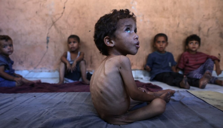 Amnesty International akuza Izraelit: Po shkaktoni uri të qëllimshme në Gaza