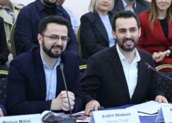 Ana Dajko mbetet deputete, Kolegji Zgjedhor lë në fuqi vendimin e KAS për mandatin e Nisma Shqipëria Bëhet