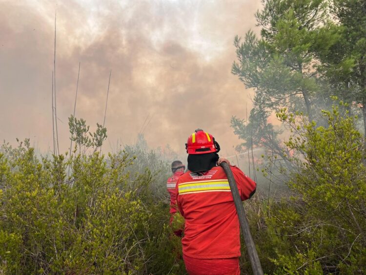 Zjarret/ Ende aktive vatrat në Akërni dhe Bogovë
